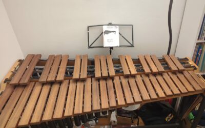 Le marimba de Michel